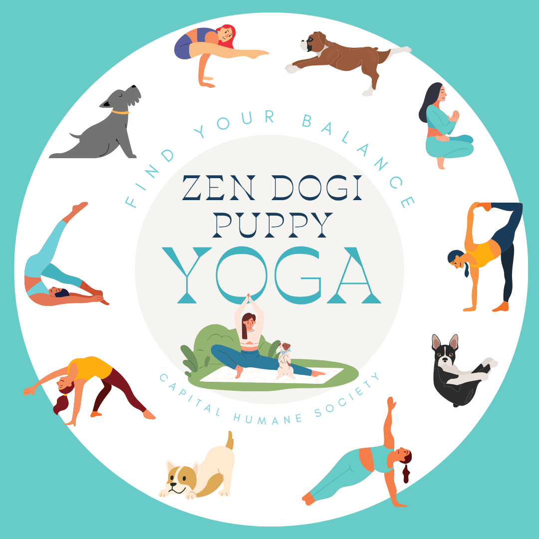 Zen DOGi Yoga November 15th - logo